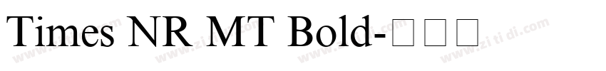 Times NR MT Bold字体转换